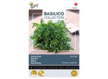 Semi Di Basilico Greco In Vaso A Foglia Molto Fine - Circa 1,5 Gr | Buzzy_080915