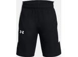 KraťAsy Ua Baseline Short-Blk