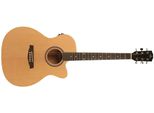 Prodipe Gitarren SA25 Ceq