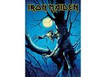 Iron Maiden - Cartolina "Fear Of The Dark"" RO7750 (Taglia Unica) (Blu/Nero)"