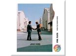 Pink Floyd - Magnete Da Frigo "Wish You Were Here"" RO7760 (Taglia Unica) (Blu/Grigio)"