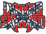 Lynyrd Skynyrd - Cartolina, Bandiera RO7924 (Taglia Unica) (Rosso/Blu/Bianco)