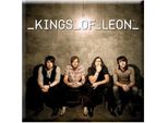Kings Of Leon - Magnete Da Frigorifero, Foto Della Band RO7962 (Taglia Unica) (Marrone Chiaro/Bianco)