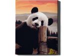 Oh Art! - Set Di Pittura Per Numeri Panda - 40X50Cm, Con Cornice In Legno E Pennelli Fai Da Te