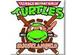 Teenage Mutant Ninja Turtles - Magnete Da Frigo RO7695 (Taglia Unica) (Bianco/Verde/Marrone)
