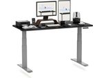 Flexispot Scrivania Regolabile In Altezza 140X80Cm 2 Motori, Portata 160 Kg, Protezione Anticollisione, Piano D'appoggio Monoblocco Da 25 Mm, 4 Posizioni Di Memoria Nero