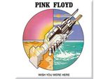 Pink Floyd - Magnete Da Frigo "Wish You Were Here"" RO8618 (Taglia Unica) (Colorato)"