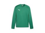 Puma Teamgoal Felpa Da Allenamento Uomo - Verde