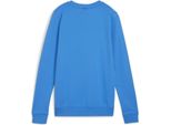 Puma Teamgoal Felpa Donna - Royal