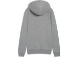 Puma Teamgoal Felpa Con Cappuccio Donna - Grigio Chiaro Screziato