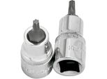 1/2" Tx Bit Socket T50"
