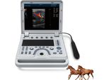 Dispositivo Ecografico Veterinario Doppler A Colori Portatile Ecografo Vet Per Cavallo, Mucca, Cammello, Cane, Gatto Sonda Rettale