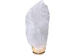 Gardenix® Protezione Per Piante, Copertura Antigelo, Protezione Invernale In Tessuto Non Tessuto Con Cordoncino – 65X90 (2 Pezzi)