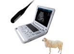 Portatile 15" Ecografo Veterinario Per Animali Pw Pulse Doppler Cavallo Mucca Pecora Cammello"