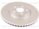 2X Disco Freno Anteriore Triscan 8120 16177C