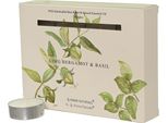 Candele Profumate Tea Light Cera 38Mm Lime Bergamotto Basilico 12 Pezzi