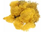 Muschio Islandese Giallo 400G - Muschio Decorativo, Muschio Artigianale, Muschio Naturale Conservato Per Decorazioni Creative, Modellazione E Composizioni Floreali