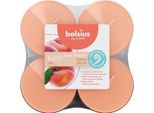 Maxi Luci A 0 Profumi, Pesca, True Scents, Bolsius, Ø60 Mm, Tempo Di Combustione Circa 8H, 8 Pezzi Per Confezione