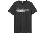 Amplified - Maglietta Logo Per Uomo/Donna Unisex GD2015 (M) (Charcoal)