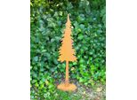Edelrost Tanne Sverre, Stretto Edelrost Tanne Sverre - Altezza: 78 Cm