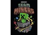 Minecraft - Stampa Su Tela Con Cornice "Team Miners"" PM11149 (80 Cm X 60 Cm) (A Colori)"