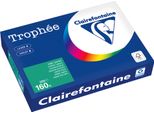 Clairefontaine Kopierpapier 1019PC A4 160G TannengrüN 250Bl
