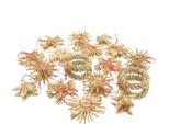 Posiwio Decorazioni Natalizie Stelle Di Paglia E Ghirlande Naturali E Rosse Ø Da 4 A 6 Cm