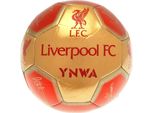 Liverpool Fc - Calcio Con Firme RD3847 (5) (Rosso)