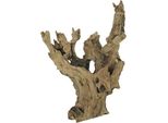 Barico-Wurzel Small (15-20 Cm)