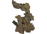 Barico-Wurzel Medium (20-30 Cm)