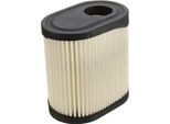 Accessori Per Macchine Da Giardinaggio Motosega Per Tosaerba Filtro Aria Per Tecumseh 36905