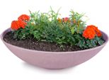 Fioriera Piatta Per Esterni Ciotola Decorativa Rotonda Rosa Scuro 45 Cm