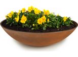 Fioriera Piatta Per Esterni Ciotola Decorativa Rotonda Effetto Ruggine 28 Cm