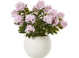 Hill Interiors - Pianta Artificiale In Vaso HI4818 (71 Cm X 55 Cm X 55 Cm) (Rosa)