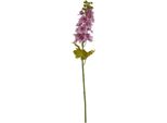 Hill Interiors - Fiore Artificiale HI4812 (Taglia Unica) (Viola)