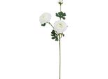 Hill Interiors - Fiore Artificiale HI4821 (Taglia Unica) (Bianco)