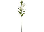 Hill Interiors - Fiore Artificiale Spray HI4820 (Taglia Unica) (Bianco)