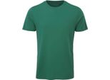 Anthem - T-Shirt Organica Da Uomo PC4295 (L) (Verde Abete)