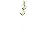 Hill Interiors - Fiore Artificiale HI4834 (Taglia Unica) (Verde)