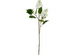 Hill Interiors - Fiore Artificiale HI4850 (Taglia Unica) (Bianco)