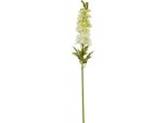 Hill Interiors - Fiore Artificiale HI4843 (Taglia Unica) (Bianco)