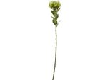 Hill Interiors - Pianta Artificiale HI4871 (Taglia Unica) (Verde)