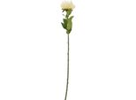 Hill Interiors - Pianta Artificiale HI4851 (Taglia Unica) (Colore Crema)