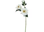 Hill Interiors - Fiore Artificiale HI4896 (Taglia Unica) (Bianco)