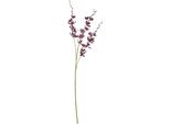 Hill Interiors - Fiore Artificiale HI4869 (Taglia Unica) (Viola)