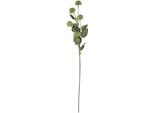 Hill Interiors - Fiore Artificiale HI4908 (81 Cm X 18 Cm X 18 Cm) (Verde)