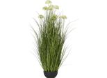 Hill Interiors - Pianta Artificiale In Vaso HI4925 (Taglia Unica) (Bianco)