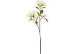 Hill Interiors - Fiore Artificiale Spray HI4961 (Taglia Unica) (Colore Crema)