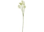 Hill Interiors - Fiore Artificiale HI4937 (Taglia Unica) (Colore Crema)