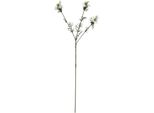Hill Interiors - Fiore Artificiale HI4987 (68 Cm X 9 Cm X 9 Cm) (Bianco)